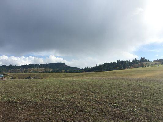 Field view from top of Peace trail. Picture doesn't do it justice. In person, it felt heavenly!