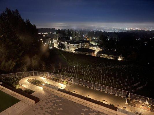 Vineyard view from the balcony