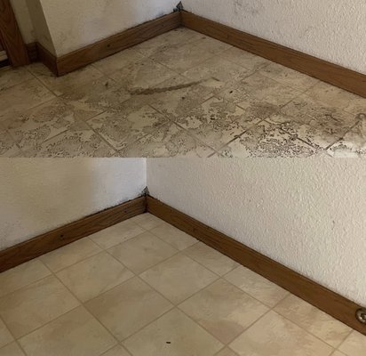 Floor Before/After