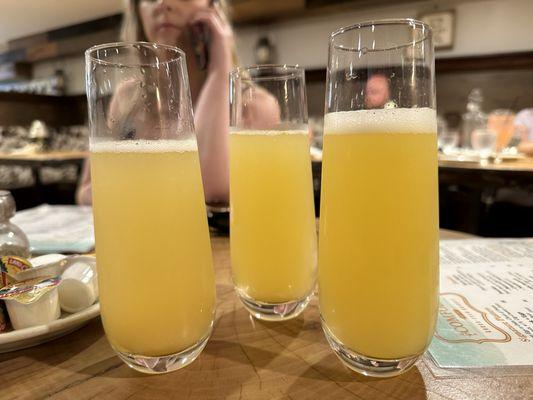 Celebratory Mimosas!!