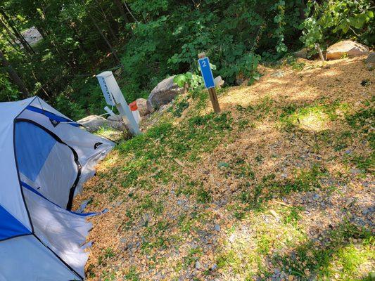 Pile of wood chips and saw dust on my tent from tree cutting workers that woke me up at 8am