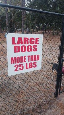 The large dog size or size or side