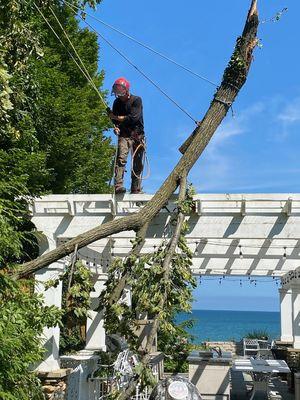 Removing large limbs in difficult places is our specialty. Our people know the ropes.