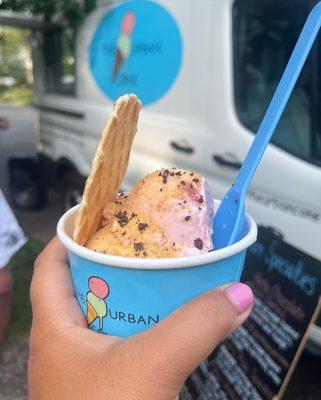 Living Single - strawberry ice cream, graham cracker dust and waffle cone cookie