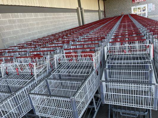 Carts lined up like soldiers for duty.