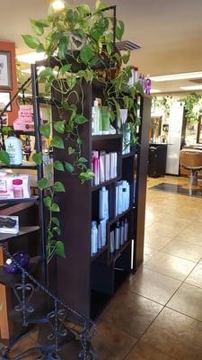 Pictures of our salon!