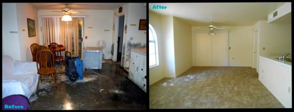 Mold Remediation