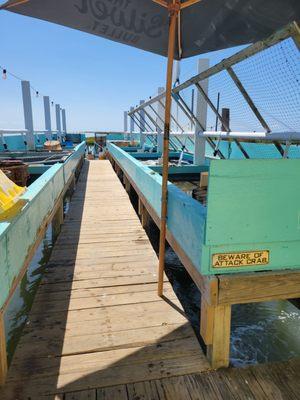 Photo of James's crab shack where he keeps "peelers" as well as some other interesting bay finds!