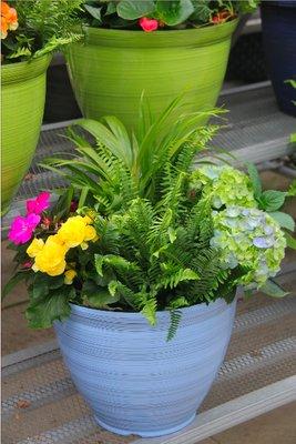 Shade Combination Planter