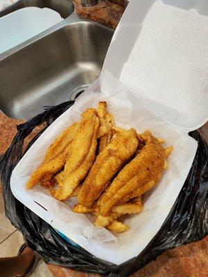 Catfish & fries