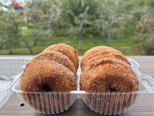 Apple cider donuts