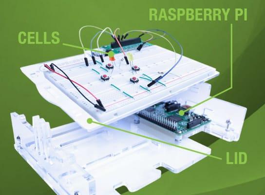 Raspberry Pi classes teach kids about circuits, python coding, and physical computing. How code interacts with the real world.