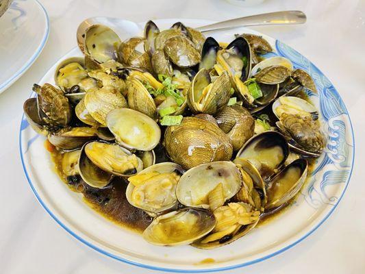 Special - clams in black bean sauce