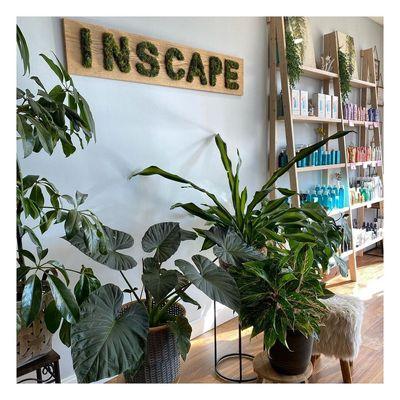 It feels so good to enter @inscape_beauty_salon ... The natural plants, clean air, relaxing vibe & amazing staff...