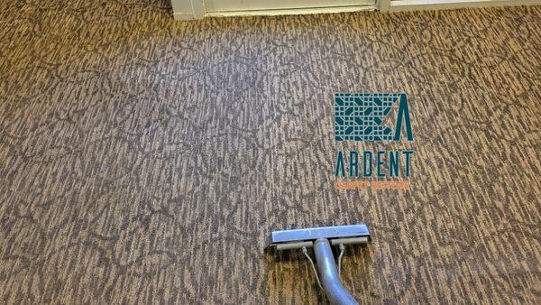 Ardent Carpet Restore