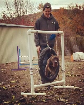 The trainer Brenden working with my dog Tessa at Bretons !