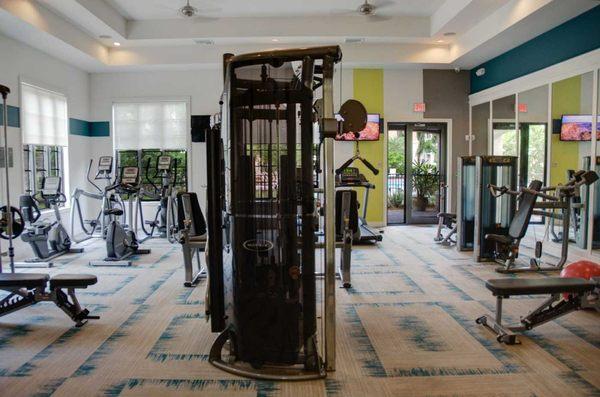 Vibrant Fitness Center with Free Weights