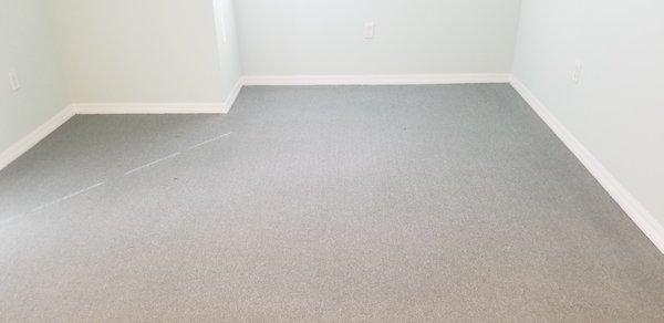 Carpet Cleaning - After