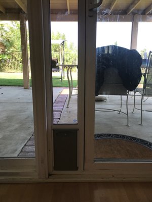 He help me order the right cat door and installed it!!