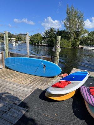 Sunrise PaddleBoards, E-Bike, Snorkel, Kayak and Pickleball Adventure Center