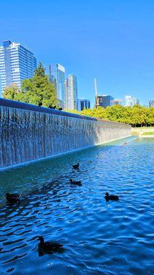 The Infinite Fountain