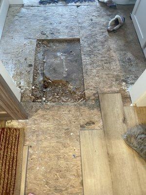 Rotted floor