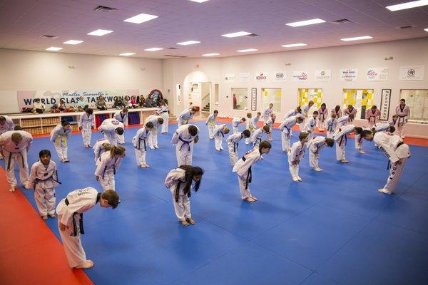 Master Scarsella's facilities are some of the most beautiful martial art schools in the country.