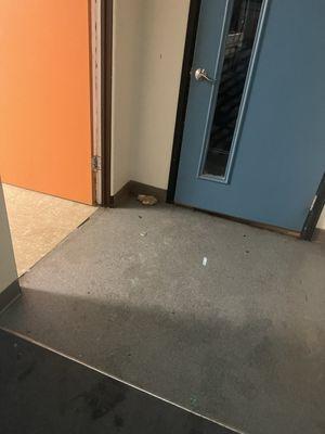 The first floor floods when it rains.