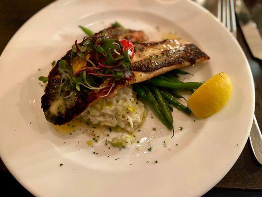 Sea bass with risotto