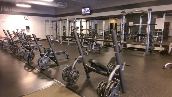 Free weight area with 3 squat racks, multiple benches and dumbbells from 5 to 100