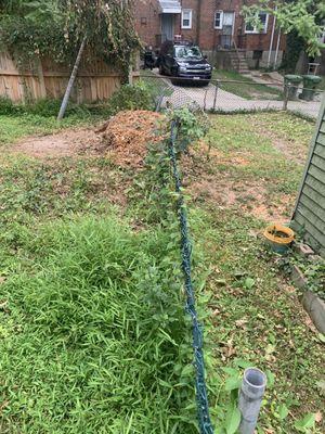 Tree debris left after they completed a tree removal and stump grinding