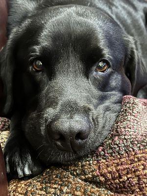 Chilling on the couch with Mom and Dad.