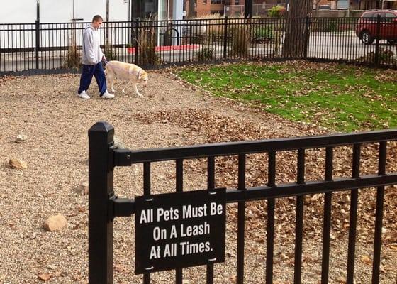 Our fenced-in yard used to exercise boarding, grooming, and hospitalized patients.