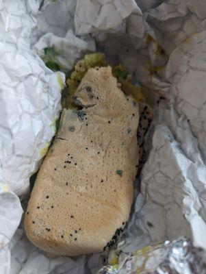 Literally mold on the bun they served. Reprehensible and vile they would serve this. Only come here if you want food poisoning.