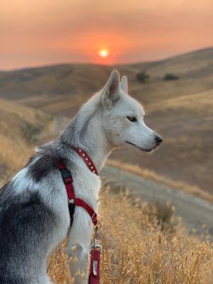 Upper Las Virgenes Canyon Open Space Preserve