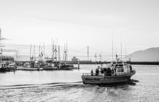 Tour and party boats.