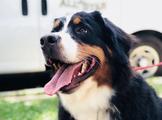 Ruby smiles big for her close up ;)