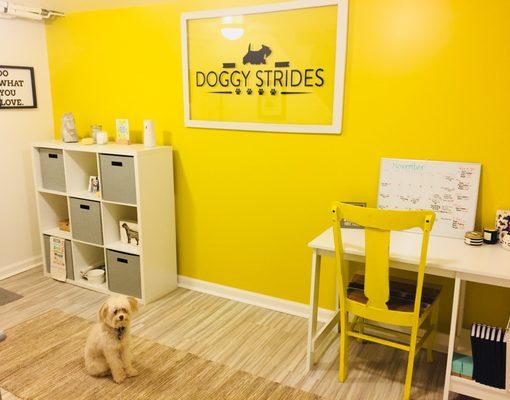 Doggy Strides Pet Sitting & Dog Walking