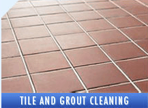 Professional Tile /Grout cleaning of Porcelin or Ceramic Tile. All work Guaranteed.