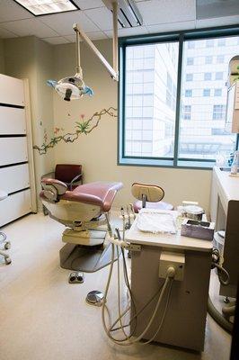 UCLA Faculty Group Dental Practice - Dentist Brentwood - The beautiful and relaxing view of our clinic.