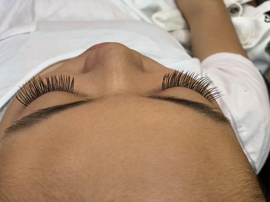 Individual eyelashes $60