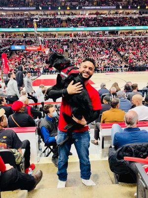 Chicago's #1 Dog Trainer The United Center Experience! www.canineclubchicago.com    Call us today! 630-999-9909