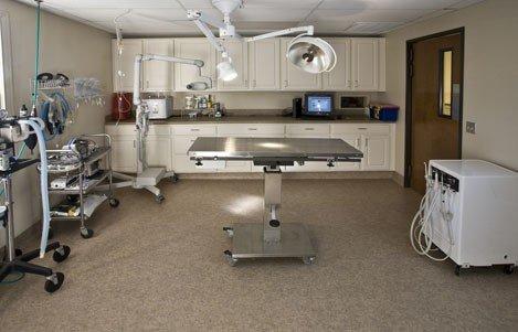 Surgery Suite