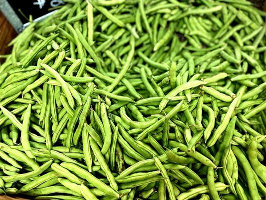 White half-runner green beans from Grainger County!