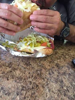 Large Italian sub