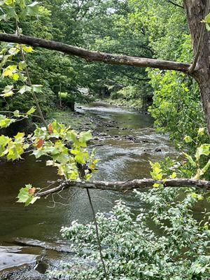 This is the river in the back patio