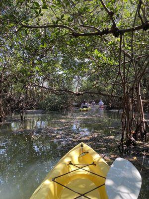 AMI Paddleboard Adventures