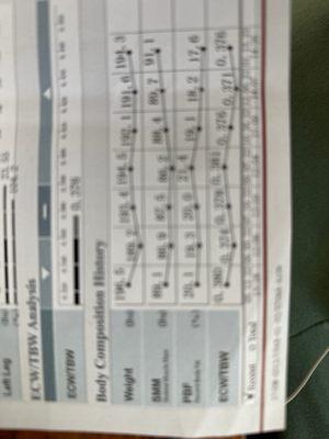 My body composition chart is proof that this is a great program