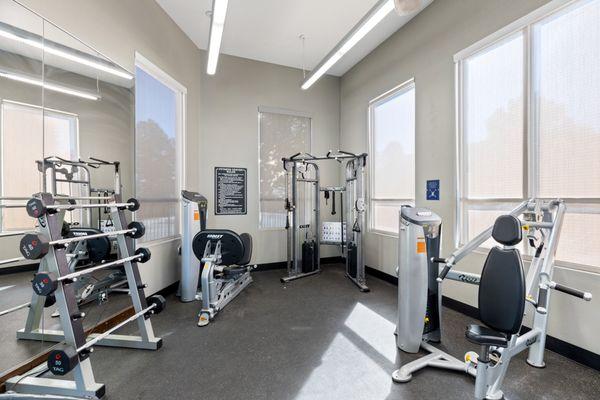 Fitness Center With Cardio And Weights