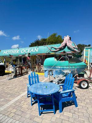 Mother Ocean Key largo